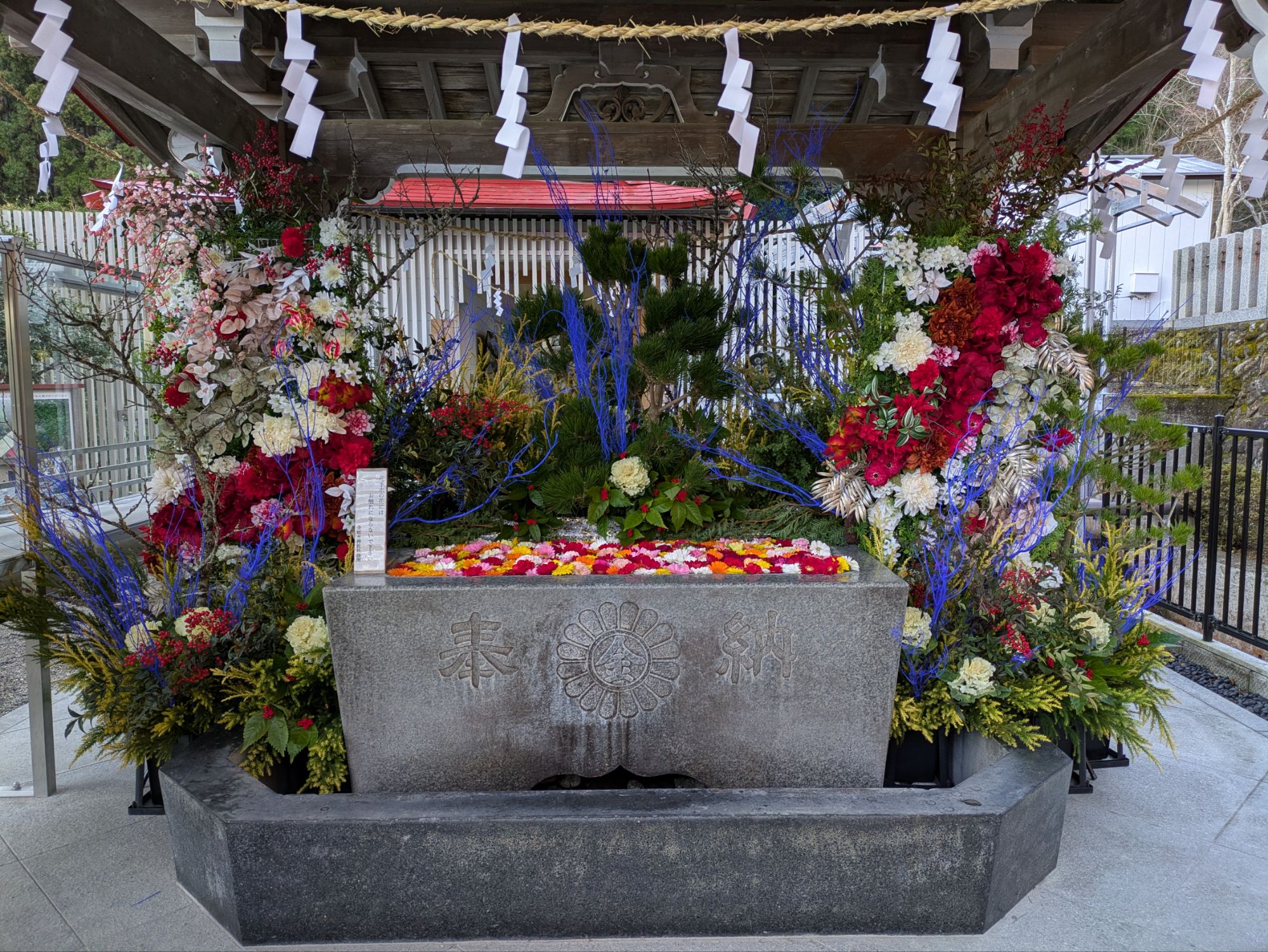 金蛇水神社の花手水